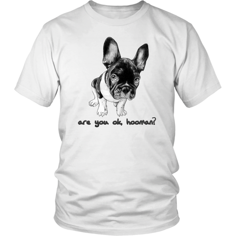 French Bulldog Shirt Frenchie T-Shirt Are You OK Hooman District Unisex Shirt