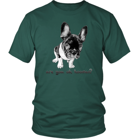 French Bulldog Shirt Frenchie T-Shirt Are You OK Hooman District Unisex Shirt