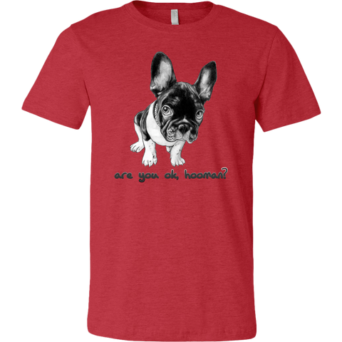 French Bulldog Shirt Frenchie T-Shirt Are You OK Hooman Canvas Mens Shirt