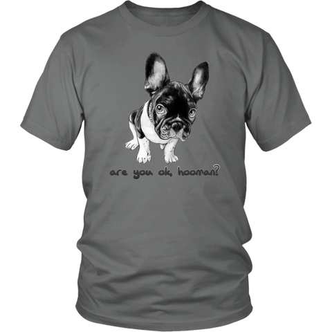 French Bulldog Shirt Frenchie T-Shirt Are You OK Hooman District Unisex Shirt