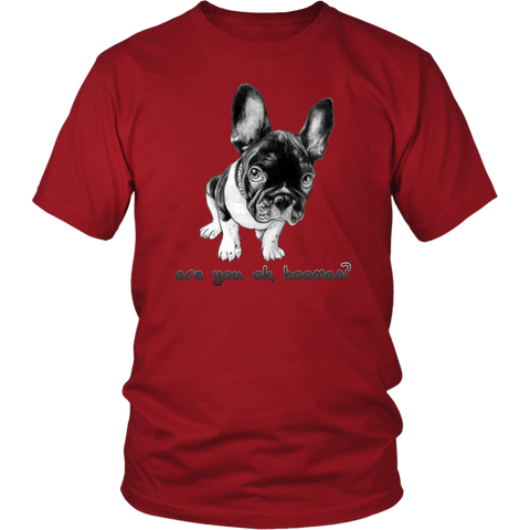 French Bulldog Shirt Frenchie T-Shirt Are You OK Hooman District Unisex Shirt