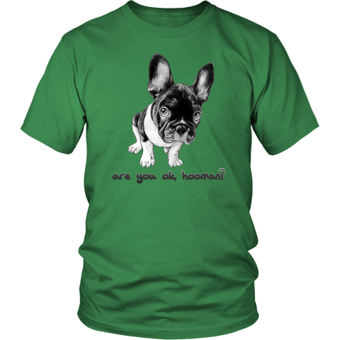 French Bulldog Shirt Frenchie T-Shirt Are You OK Hooman District Unisex Shirt