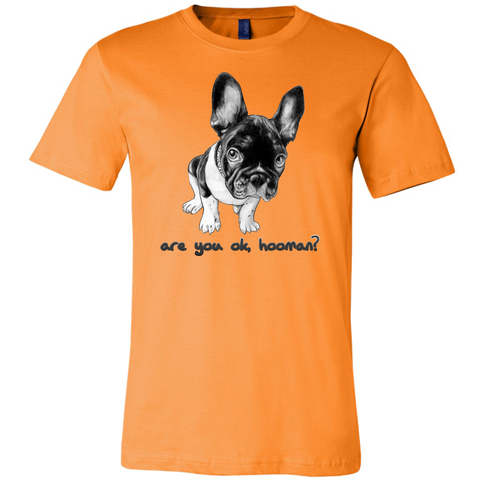 French Bulldog Shirt Frenchie T-Shirt Are You OK Hooman Canvas Mens Shirt