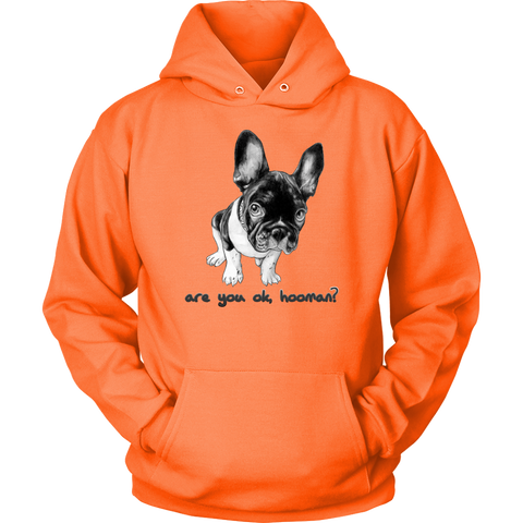 French Bulldog Shirt Frenchie T-Shirt Are You OK Hooman Unisex Hoodie