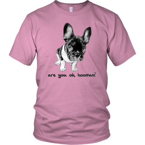 French Bulldog Shirt Frenchie T-Shirt Are You OK Hooman District Unisex Shirt