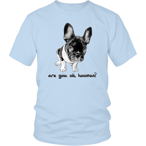 French Bulldog Shirt Frenchie T-Shirt Are You OK Hooman District Unisex Shirt