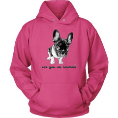 French Bulldog Shirt Frenchie T-Shirt Are You OK Hooman Unisex Hoodie